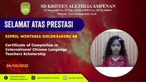 International Chinese Language Teachers Scholarship