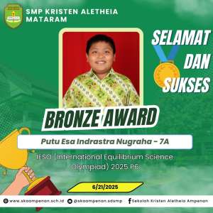 IESO (International Equilibrium Science Olympiad) 2025 P6