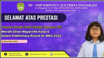 Preliminary Round ID-MEC 2022