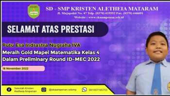 Preliminary Round ID-MEC 2022