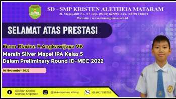 Preliminary Round ID-MEC 2022