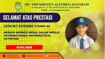 World International Mathematical Olympiad