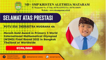 World International Mathematical Olympiad (WIMO) Final Round 2022 in Bangkok Thailand or Worldwide